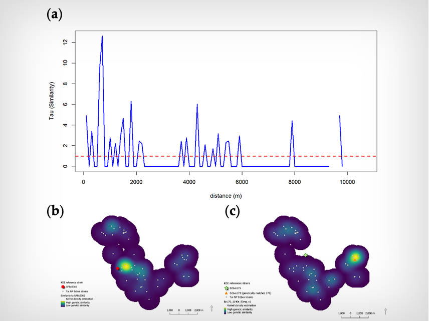 SEER Lab describes the genomics and spatial patterns of an anthrax-like pathogen in West Africa